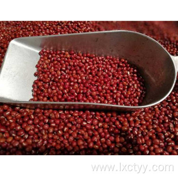 adzuki beans health tea